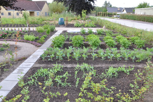 Frdalssvinget juli 2012