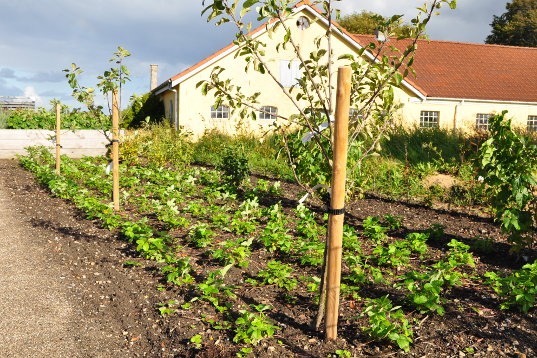 Frdalssvinget august 2012