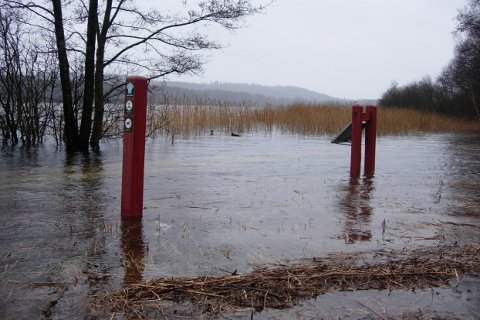 Silkeborg Langs