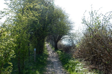 Gendarmsti