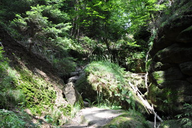 Dorfbachklamm