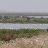 Fotoserie fra Nationalpark Skjern 