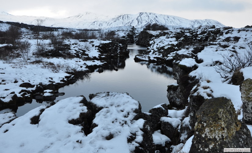 Thingvellir omrdet