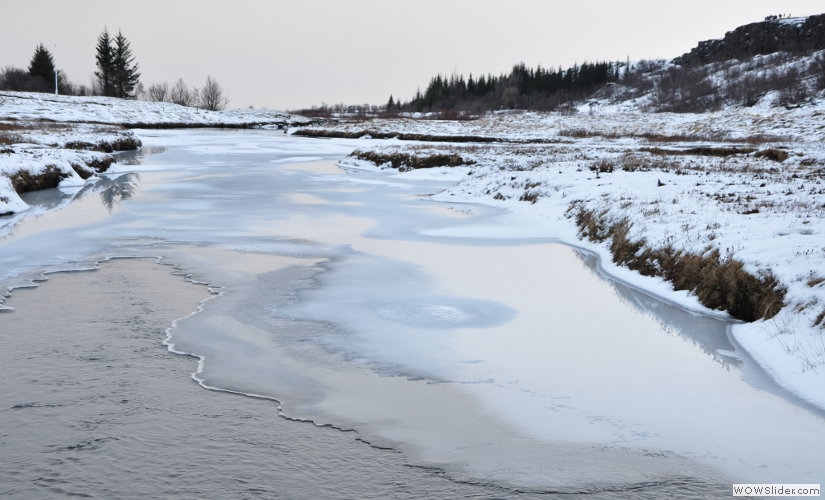 Thingvellir omrdet