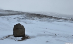 Geysir omrdet